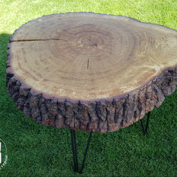 COFFEE TABLE FOREST 7